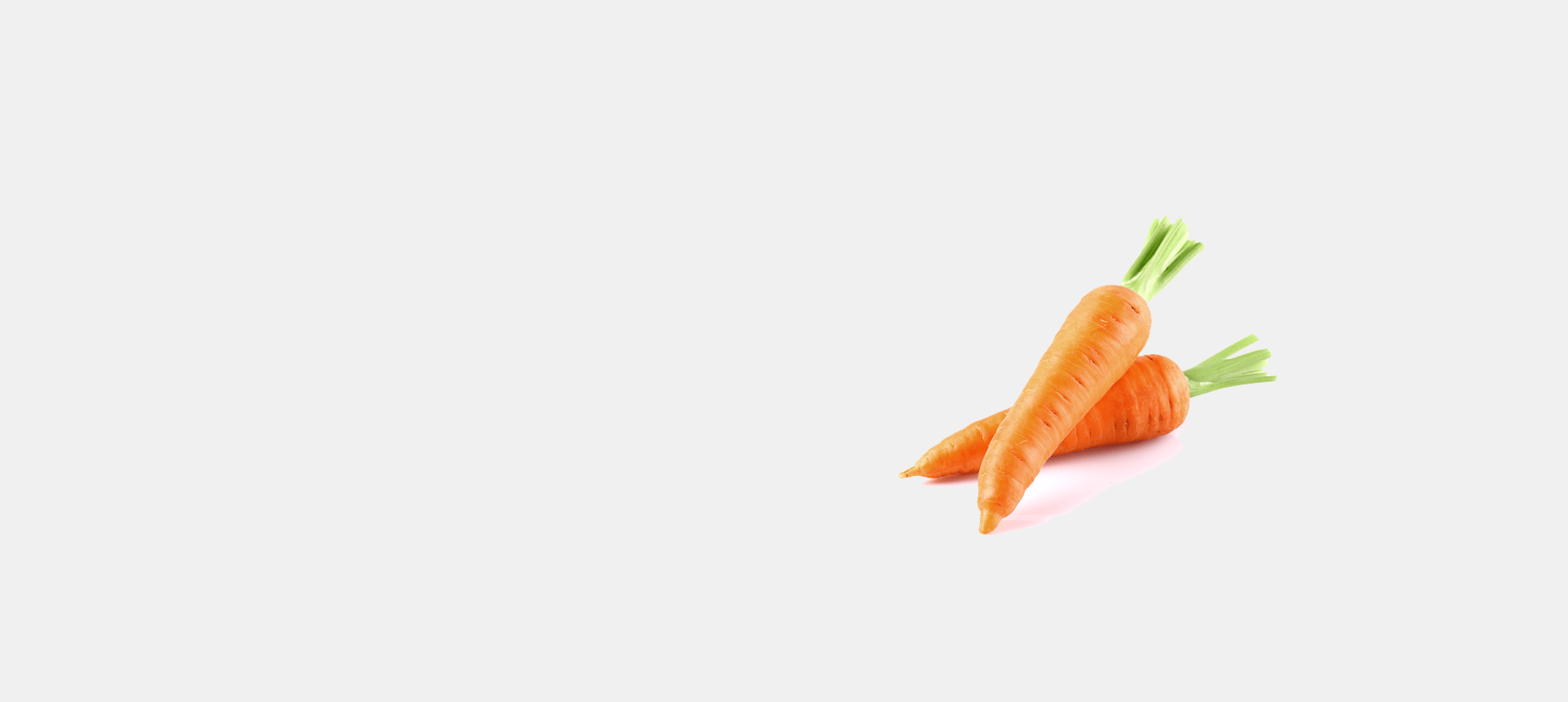 CARROT