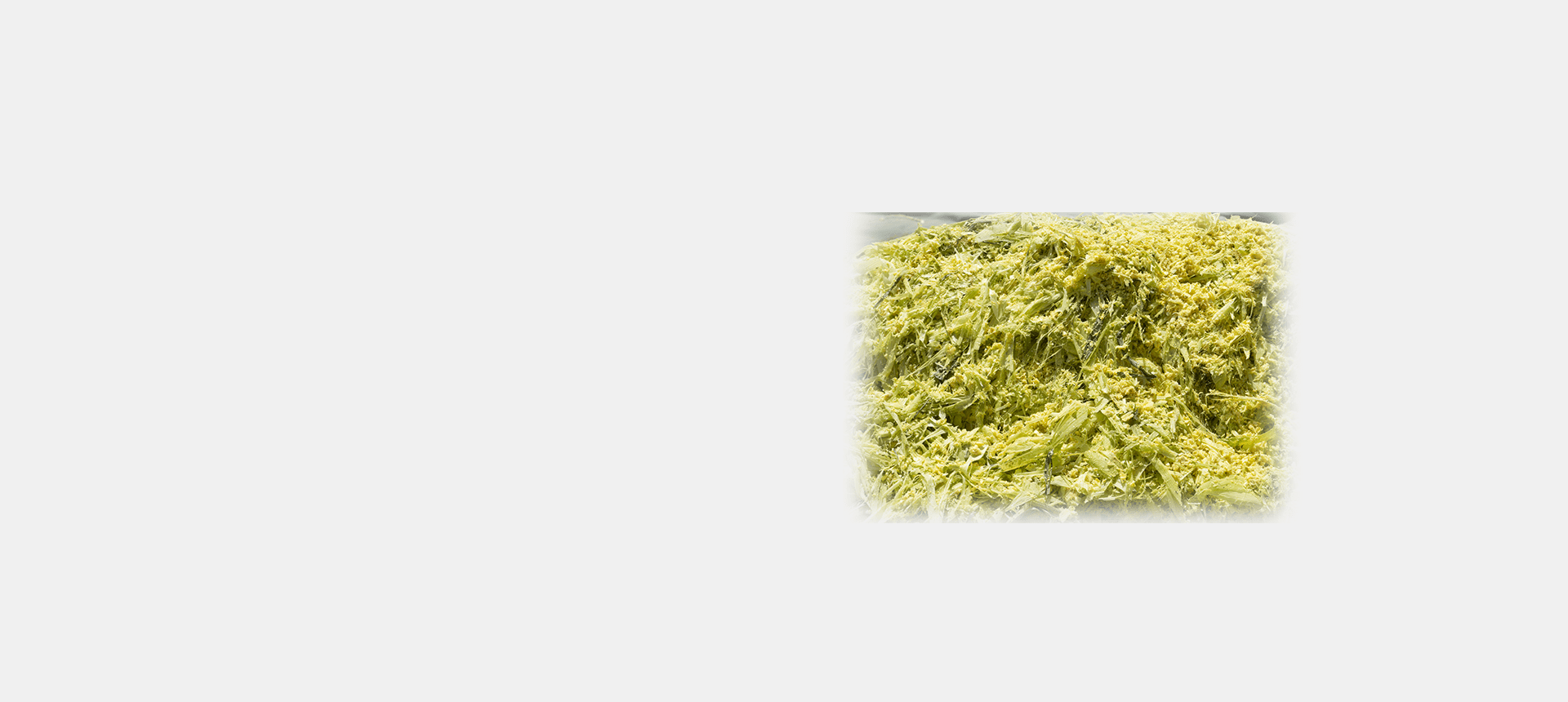 Ensilage