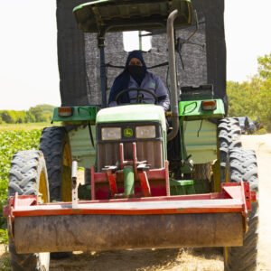 Recrutement Tractoristes