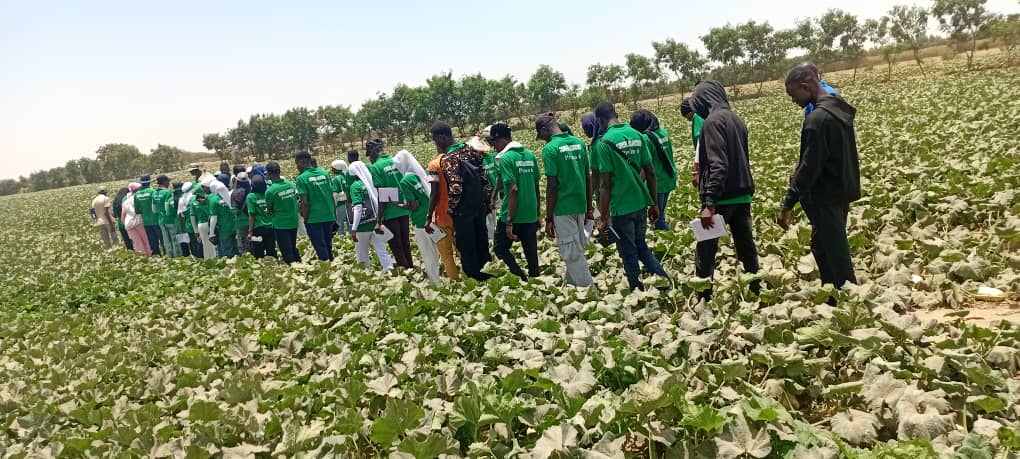 28/04/2026 Visite pédagogique des apprenants en 2e année Exploitation Agricole de l’Isep de Thiés