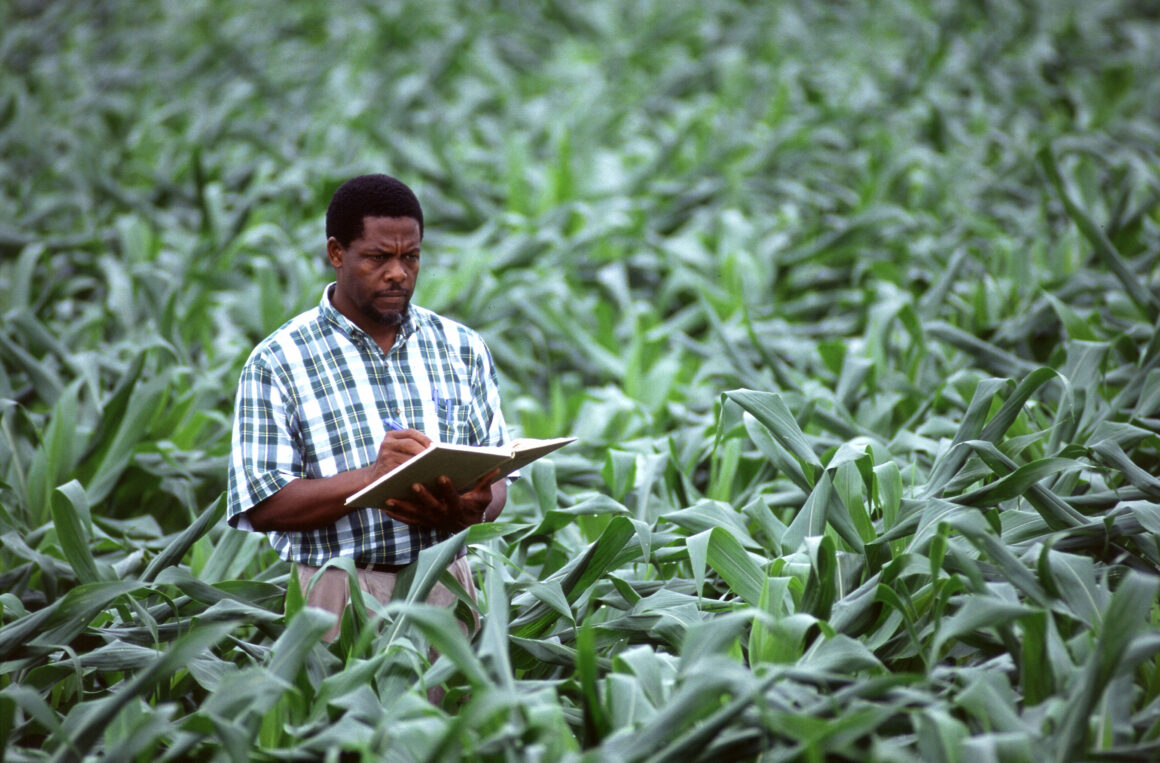 Recrutement Responsable Agronomie, Recherche et Développement