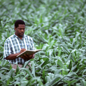 Recrutement Responsable Agronomie, Recherche et Développement